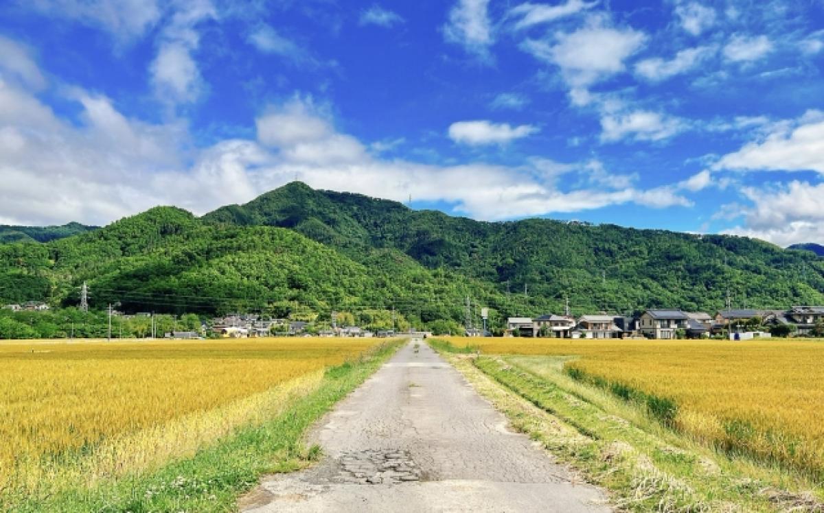 田舎に住みたい！田舎の魅力と自治体独自の補助金や助成金について、お勧めの間取りを解説